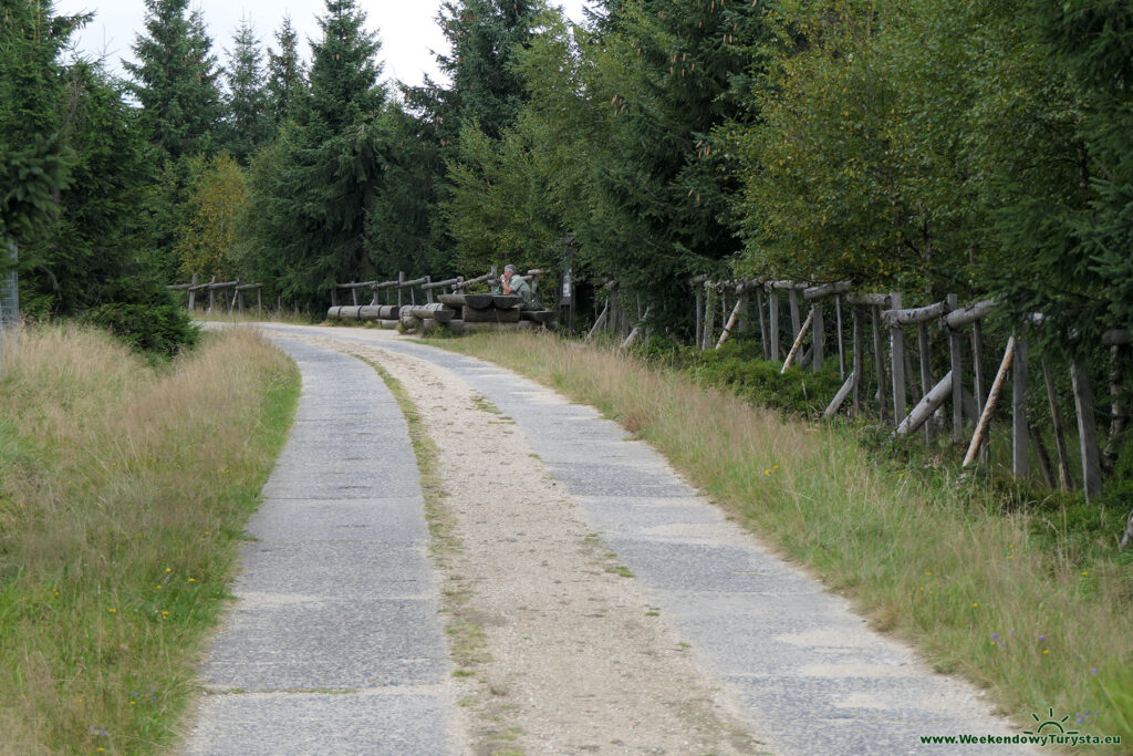 Żółty szlak w czeskich Izerach - rowerostrada