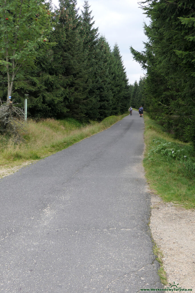 Niebieski szlak w czeskich Izerach - rowerostrada