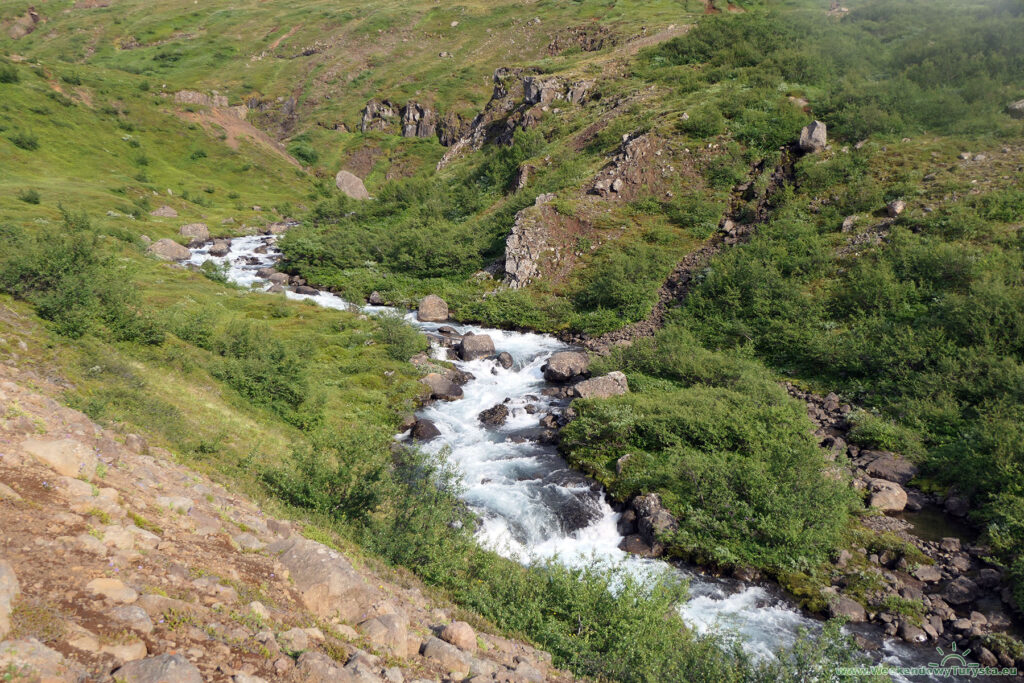 Szlak do Wodospadu Fardagafoss