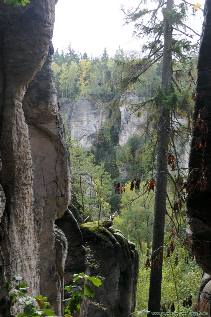 Prachnovskie Skały - widok na dolinę i skalne kolumny