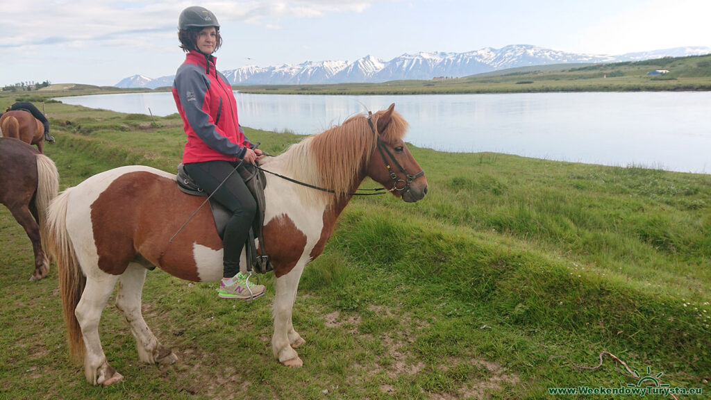 Przejażdżka konna na Islandii