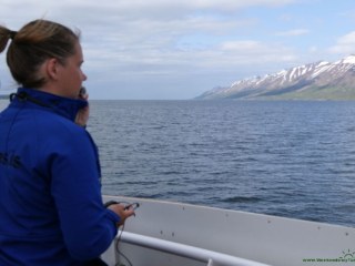 Miejscowość Hauganes - wyprawa na obserwację wielorybów