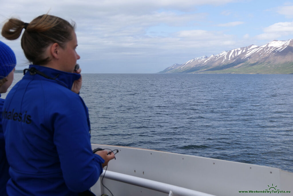 Miejscowość Hauganes - wyprawa na obserwację wielorybów