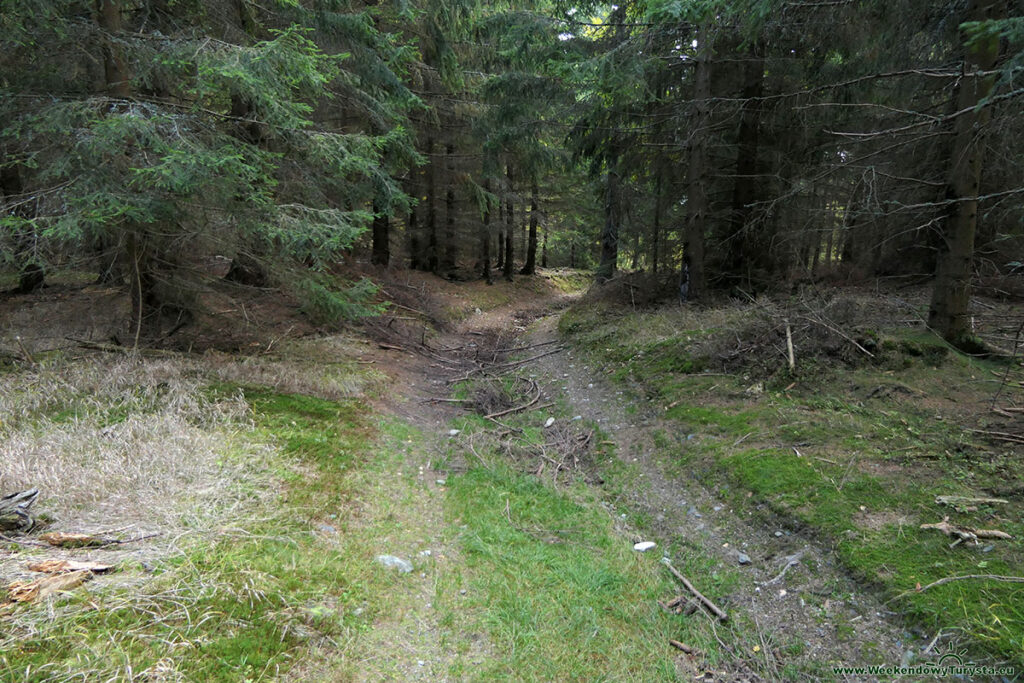 Niebieski szlak w Karkonoszach w kierunku Jarkowic