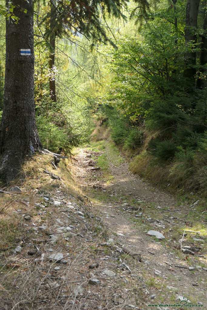 Niebieski szlak w Karkonoszach w kierunku Jarkowic