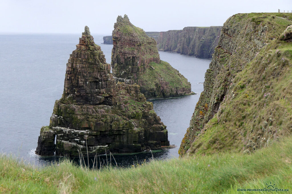 Wybrzeże Szkocji w okolicy latarni morskiej Duncansby
