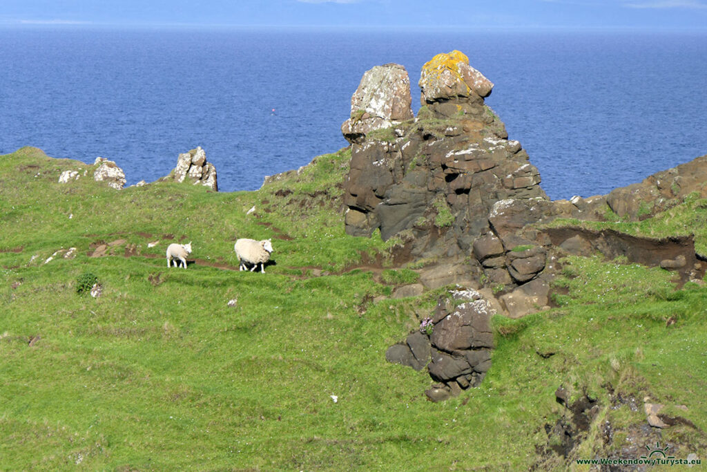 The Brother’s Point w Szkocji na wyspie Skye