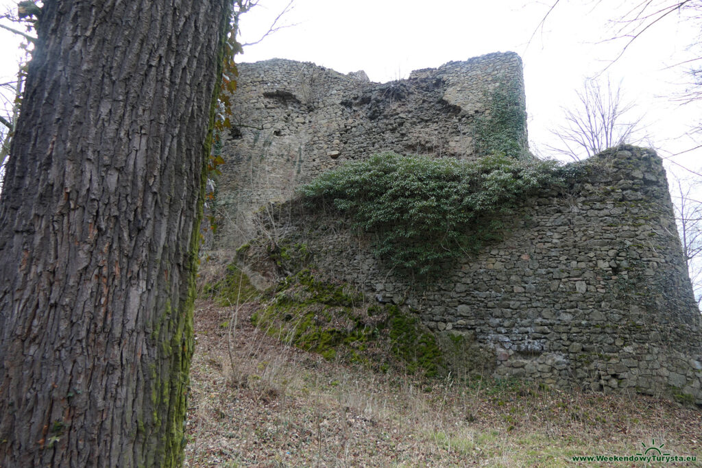 Mury zamku Cisy