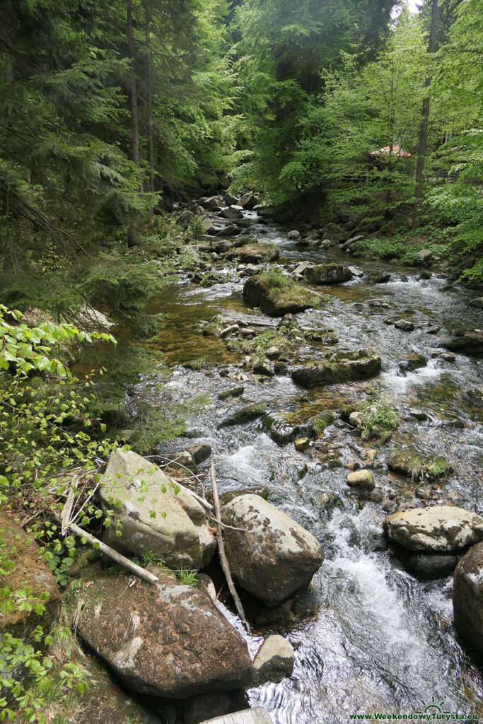 Rzeka Szklarka poniżej wodospadu - Szklarska Poręba