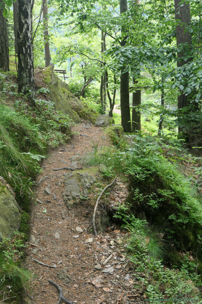 Ścieżka Kamienickiego - szlak niebieski - punkt widokowy