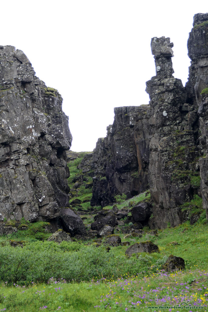 Szczelina tektoniczna w Parku Thingvellir - Złoty krąg na Islandii