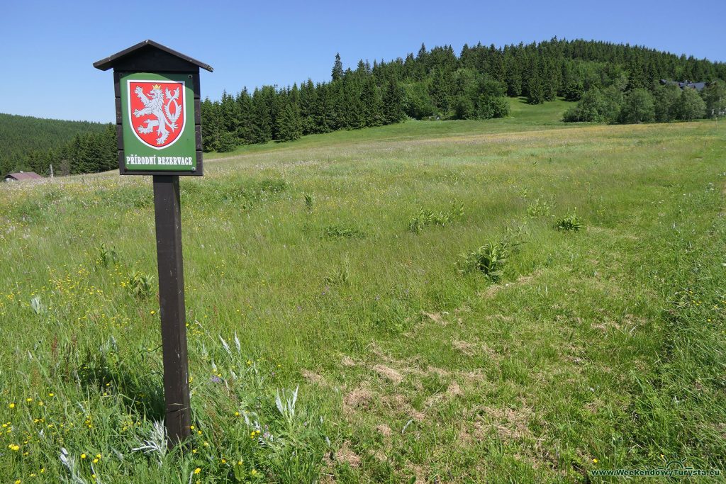 Rezerwat przyrody na Bukovcu - Izerka