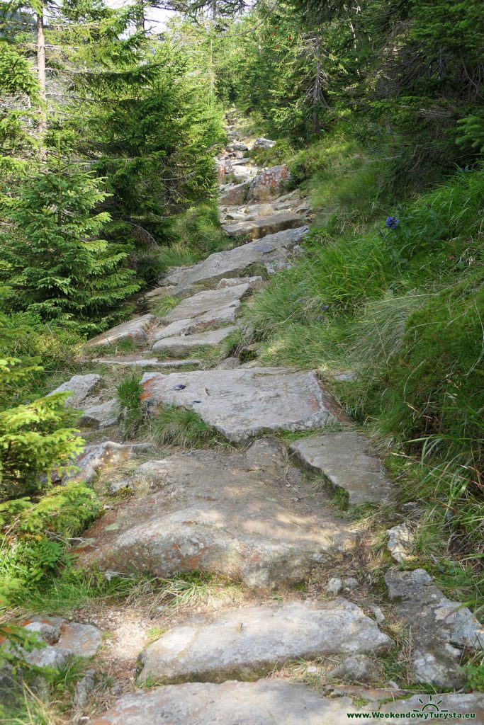 Niebieski szlak do Spindlerovego Młyna - dolina Białej Łaby