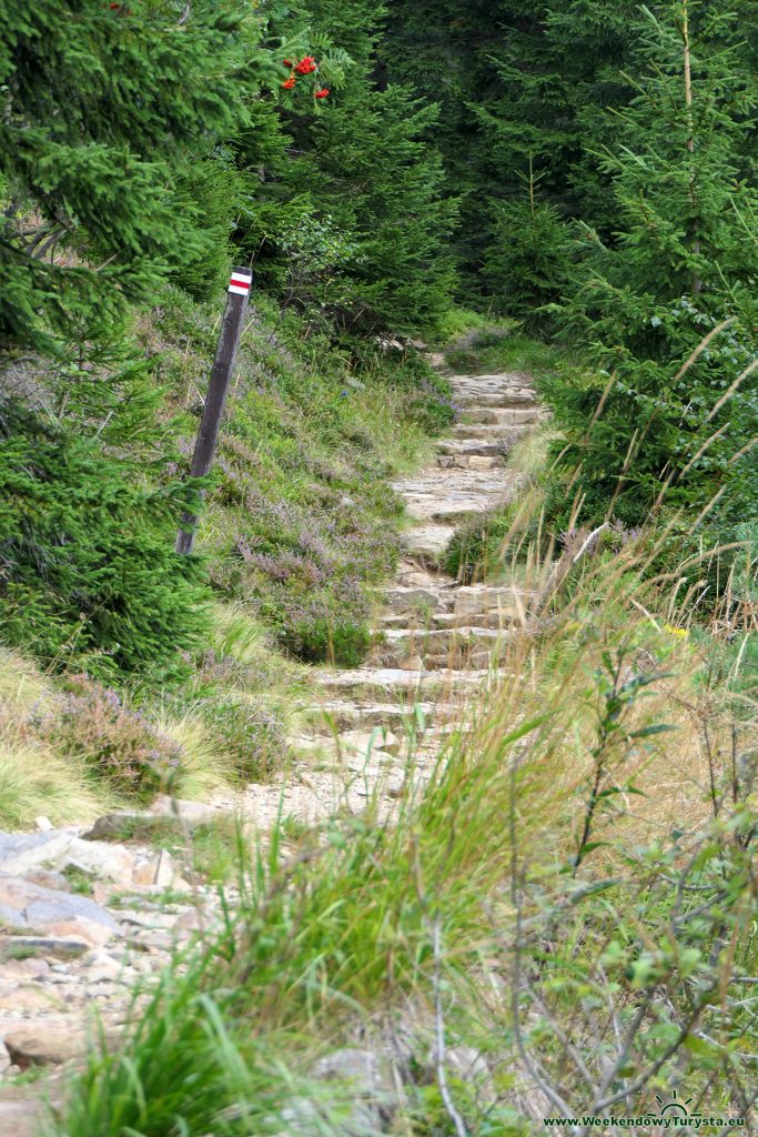 Czerwony szlak na Kozie Grzbiety w Karkonoszach