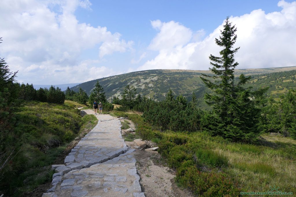 Niebieski szlak do Spindlerovego Młyna - dolina Białej Łaby