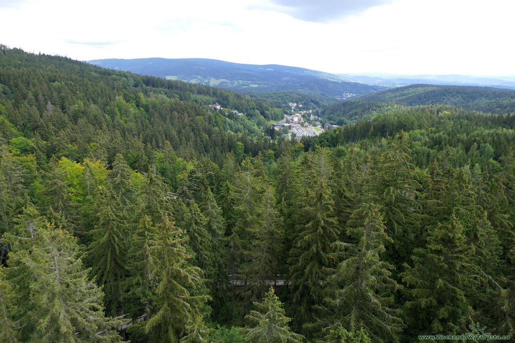 Spacer w koronach drzew Jańskie Łaźnie - widok ze szczytu