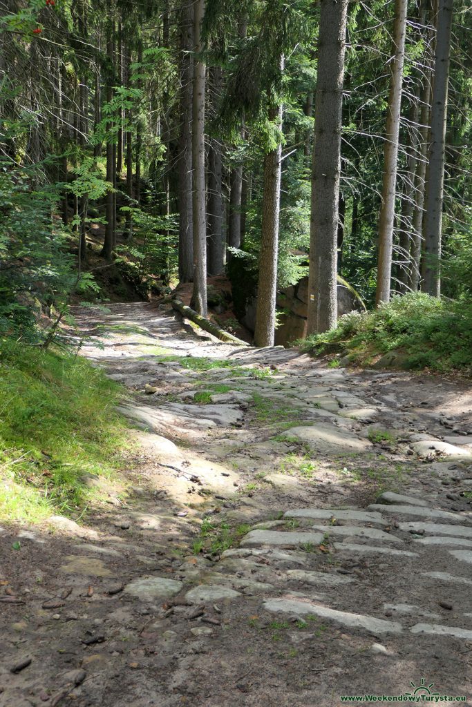 Żółty szlak w czeskich w Górach Stołowych