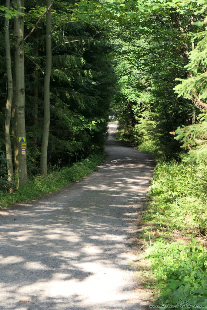 Niebieski szlak w czeskich w Górach Stołowych