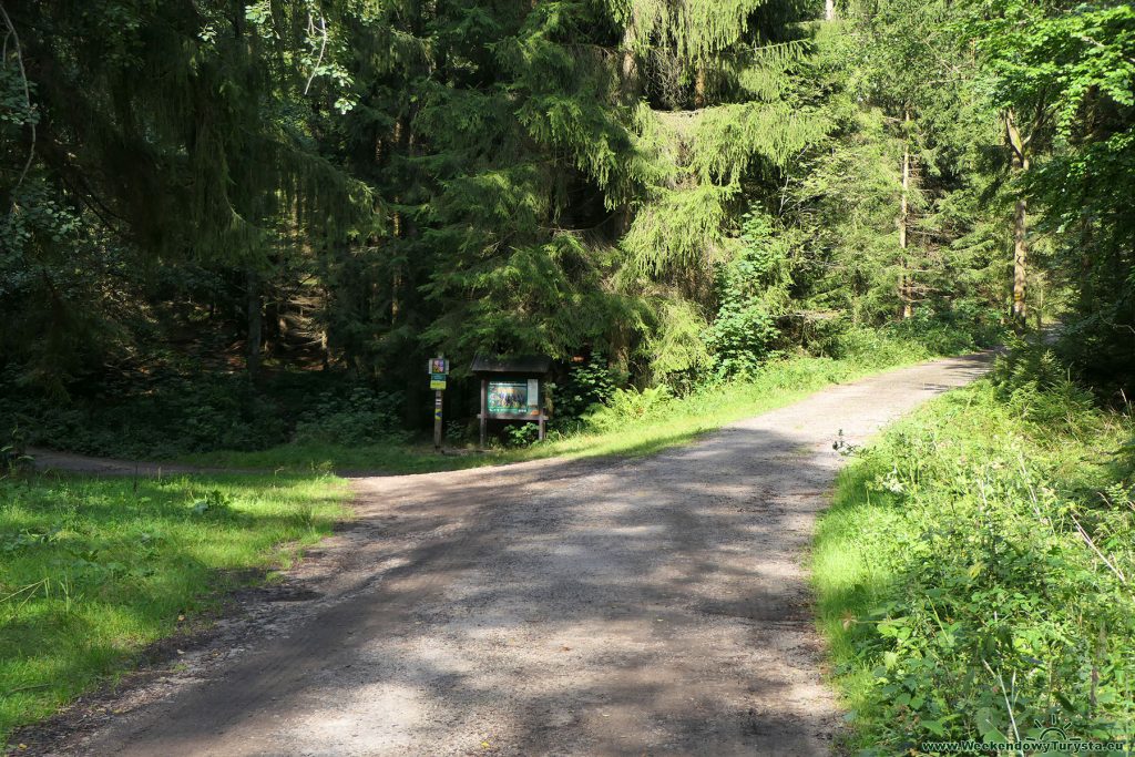 Niebieski szlak w czeskich w Górach Stołowych