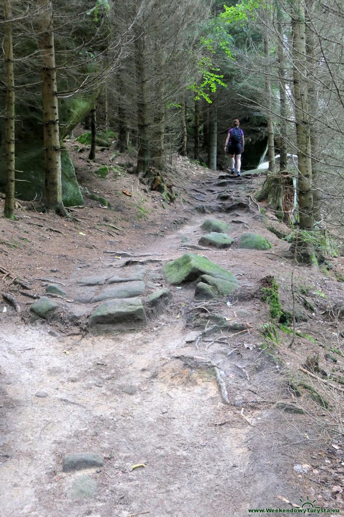Czerwony szlak w czeskich w Górach Stołowych - Wąwóz Kowarski