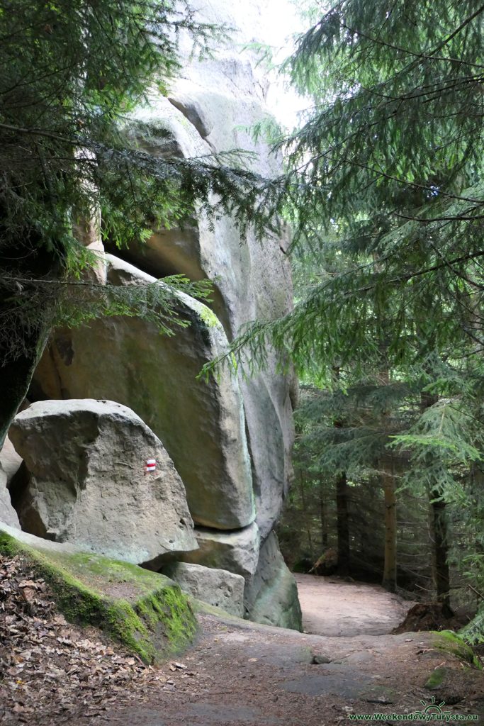 Czerwony szlak w czeskich w Górach Stołowych - Wąwóz Kowarski