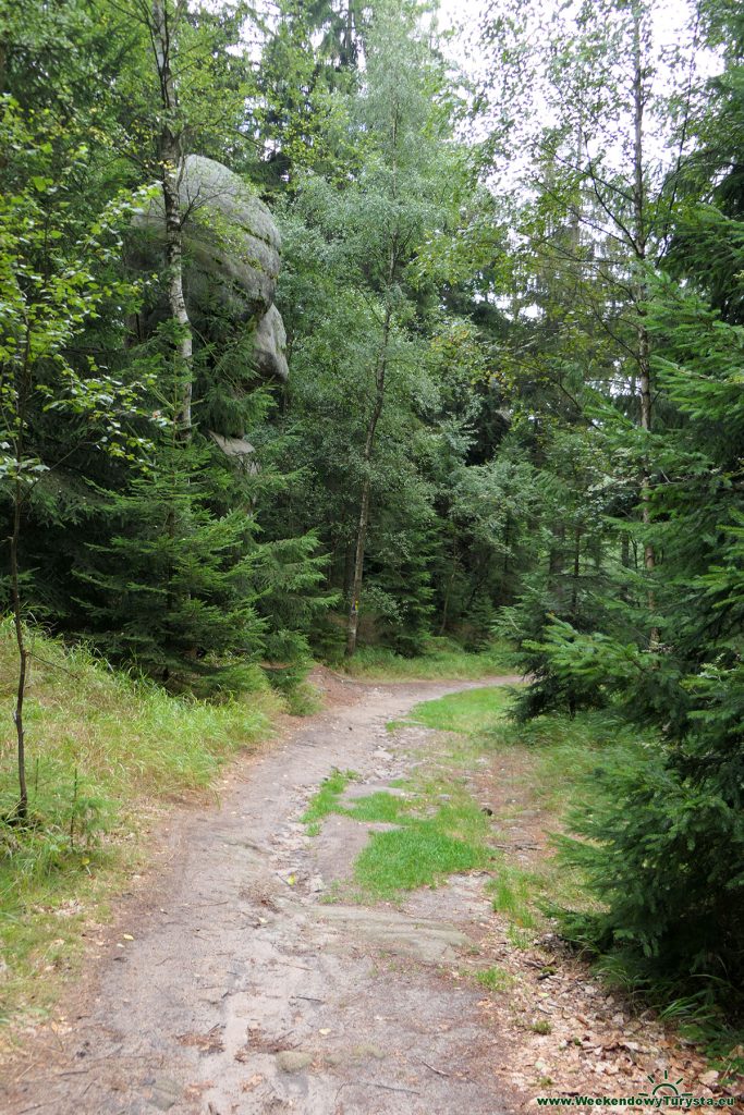 Czerwony szlak w czeskich w Górach Stołowych