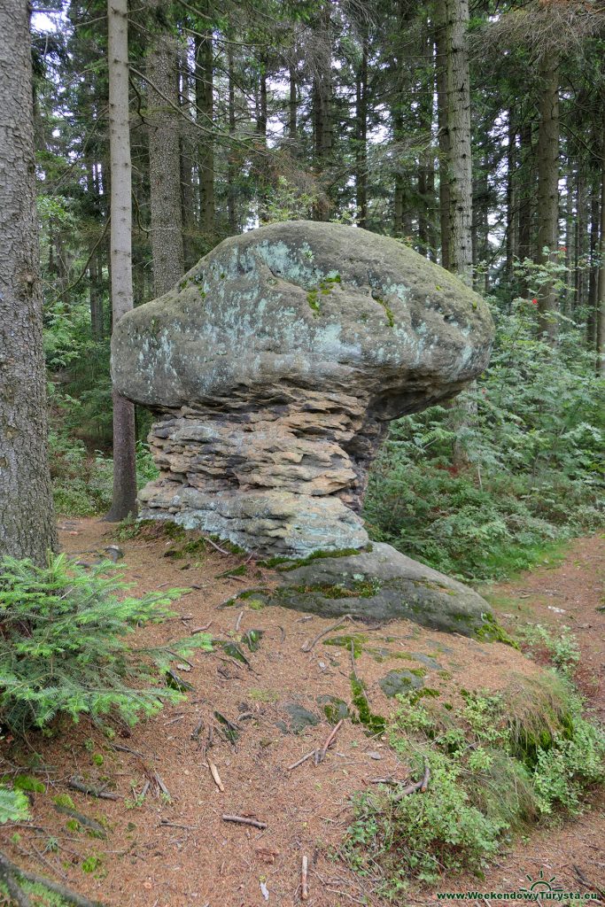 Czerwony szlak w czeskich w Górach Stołowych - skalny grzyb
