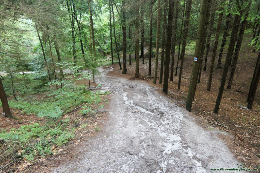 Szlak koło zamku Sloup - leśne ścieżki