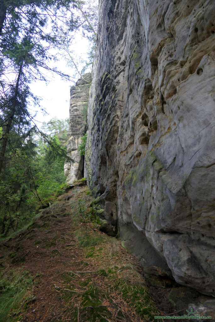 Szlak koło zamku Sloup - leśne ścieżki i szlaki