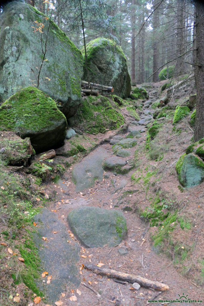 Żółty szlak na Bozanovsky Spicak - Broumovskie Steny  - Góry Stołowe