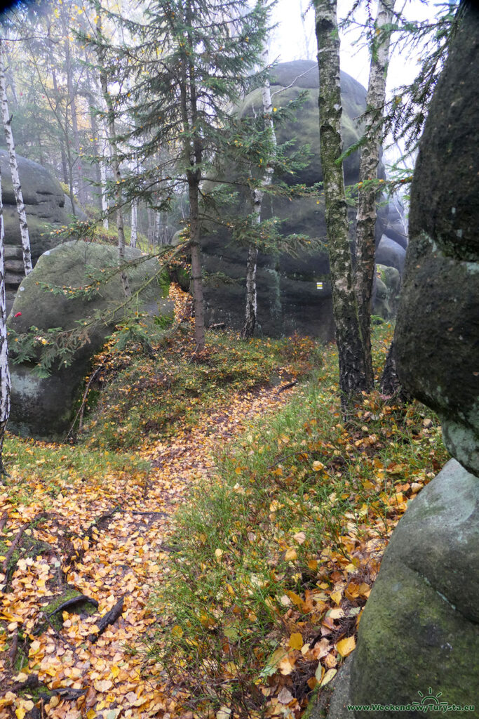 Żółty szlak na Bozanovsky Spicak - Broumovskie Steny  - Góry Stołowe