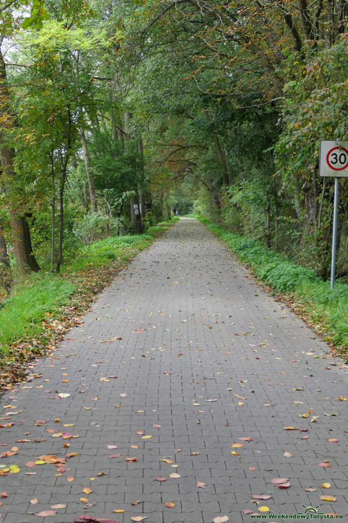 Rezerwat Stawy Milickie - kompleks Stawno - ścieżka rowerowo-piesza