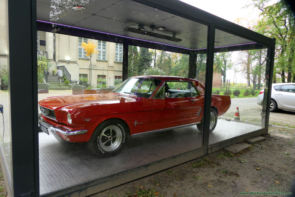 CZerwony Ford Mustang na ekspozycji