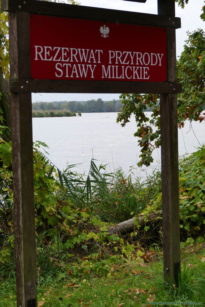 Rezerwat Stawy Milickie - kompleks Stawno