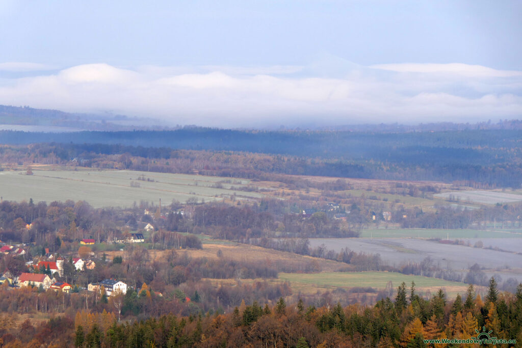 Widok ze szczytu wieży widokowej na Młynicy