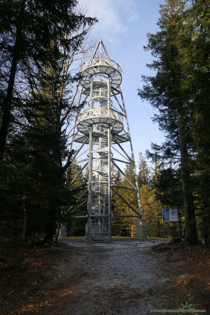 Wieża widokowa na Młynicy - widok z dołu