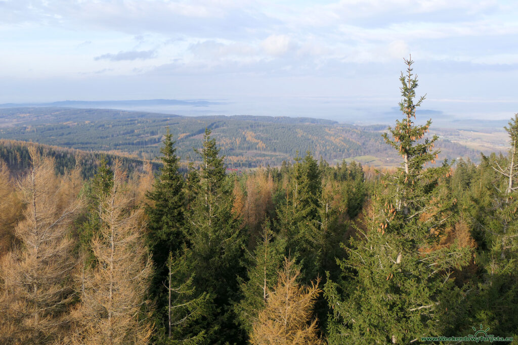 Wieża widokowa na Czerniawskiej Kopie - widok ze szczytu