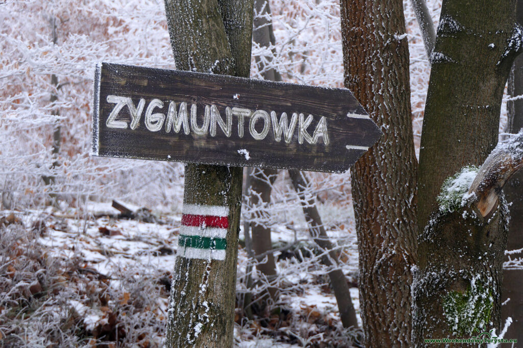 Szlak do schroniska Zygmuntówka - Góry Sowie