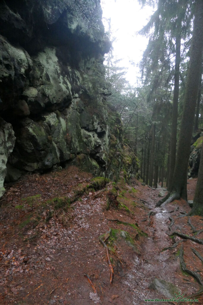 Szlak koło Jonsdorf - Góry Żytawskie