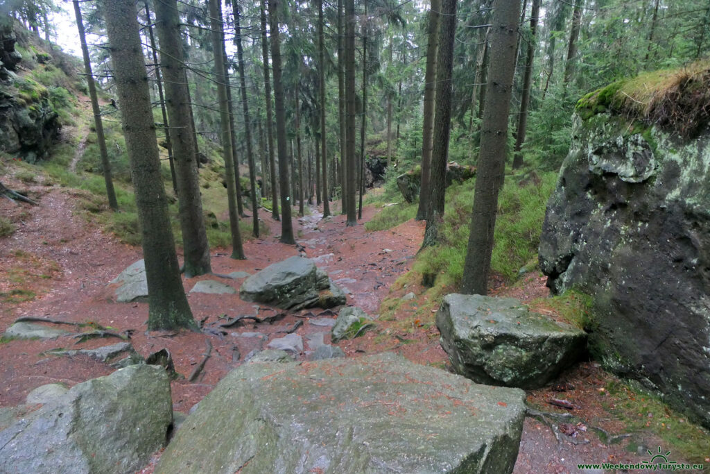 Szlak koło Jonsdorf - Góry Żytawskie