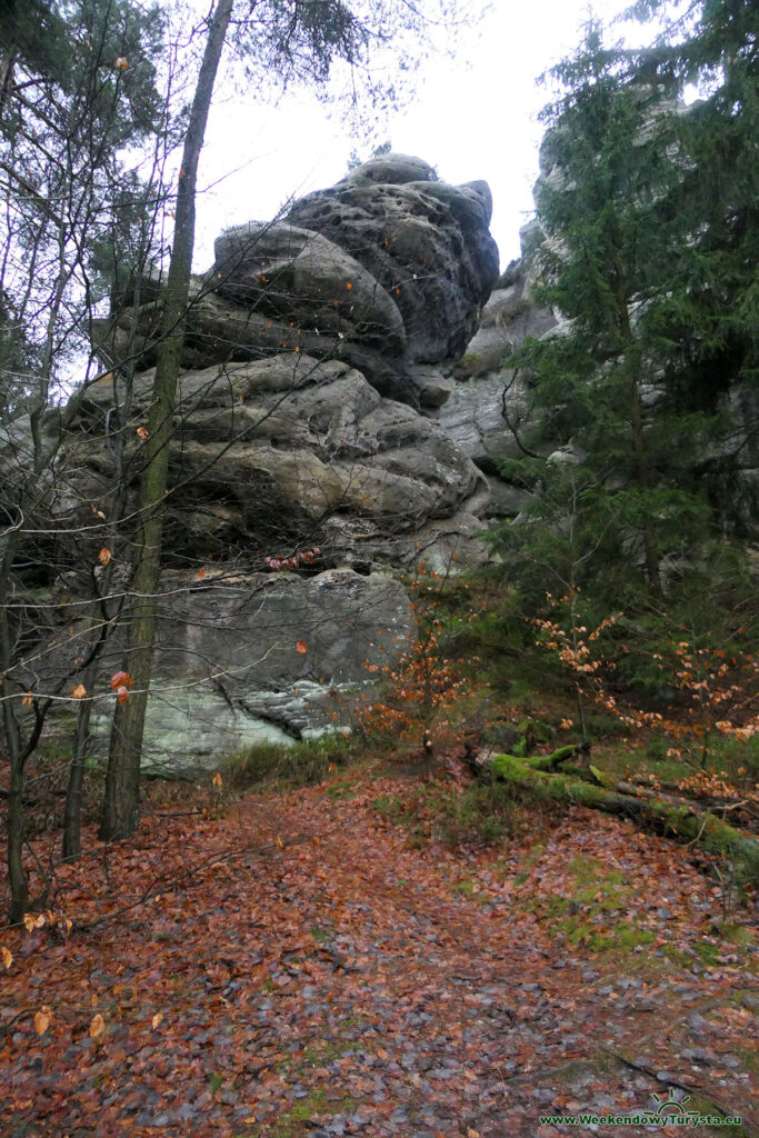 Szlak do dawnego kamieniołomu w Jonsdorf - plac sportowy