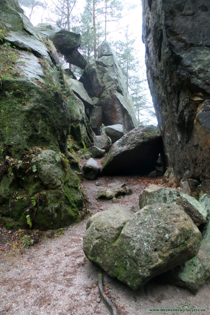 Szlak w dawnym kamieniołomie w Jonsdorf