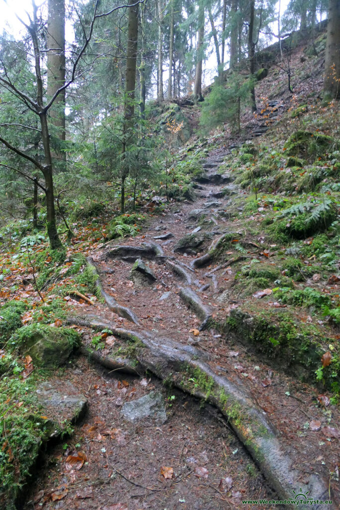 Szlak w dawnym kamieniołomie w Jonsdorf - miejsce wydobycia