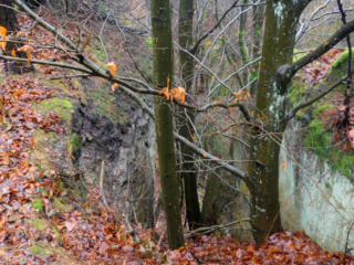 Szlak w dawnym kamieniołomie w Jonsdorf