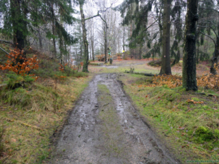 Szlak w dawnym kamieniołomie w Jonsdorf