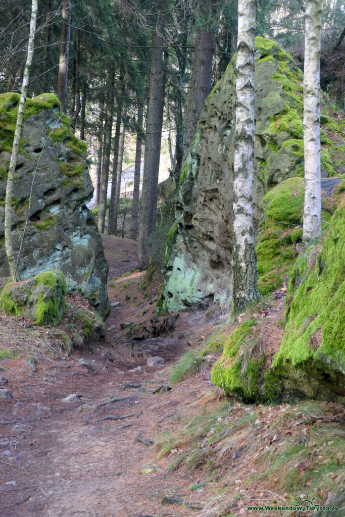 Żółty szlak do schroniska Töpferbaude - Góry Żytawskie