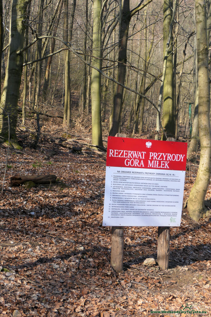 Rezerwat przyrody Góra Miłek - III Maraton pieszy w Wojcieszowie
