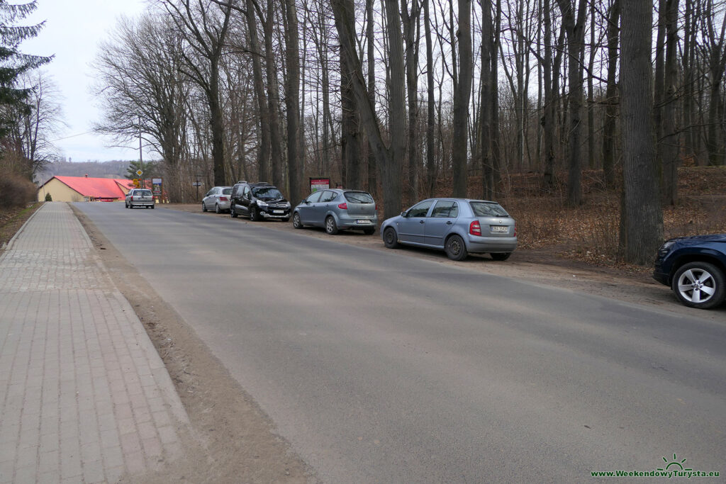 Parking pzy ulicy w Zagórzu Śląskim