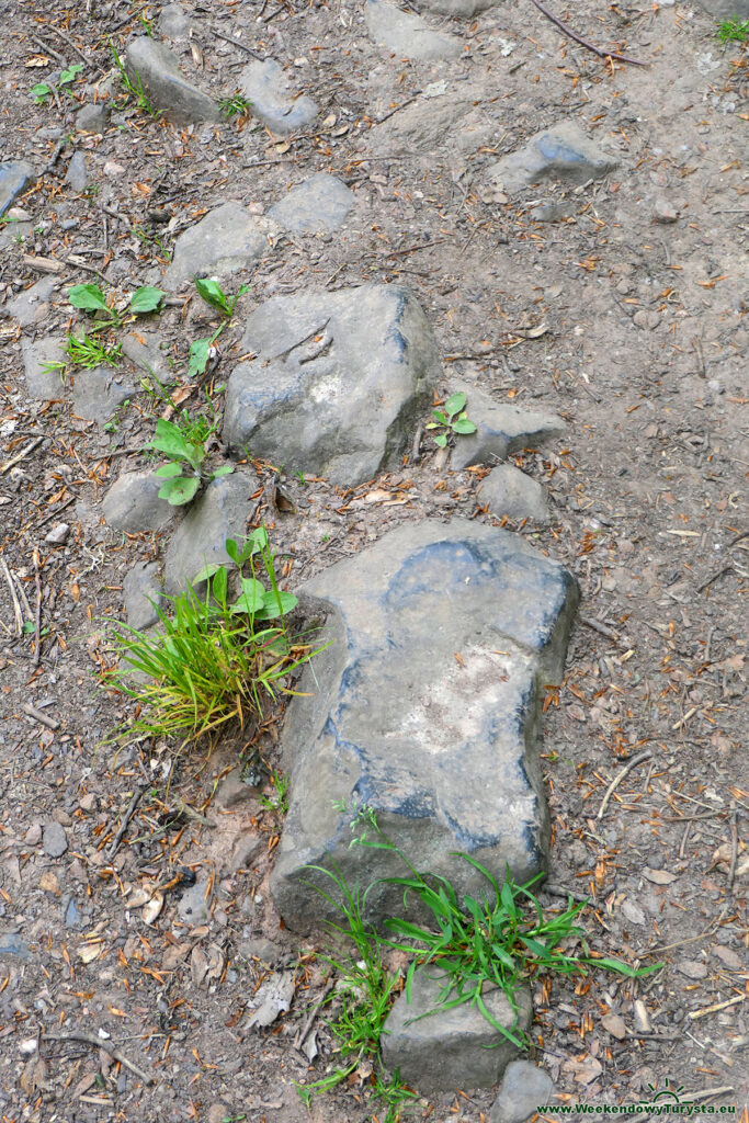 Żółty szlak na Ostrzycę - Bazaltowe kamienie