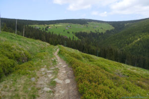 Szlak w Karkonoszach - panorama polany Klinovka